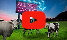 Boost your profit with DLF Fiber Energy